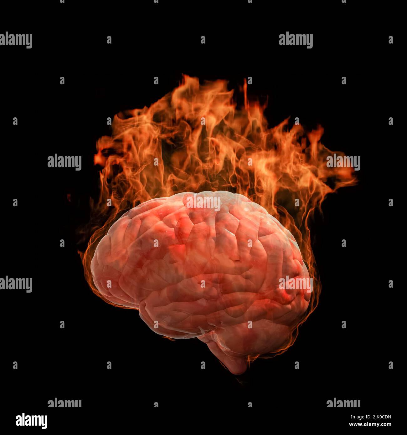 3d Rendering Of A Human Brains Burning On Fire With Hot Flame Stock