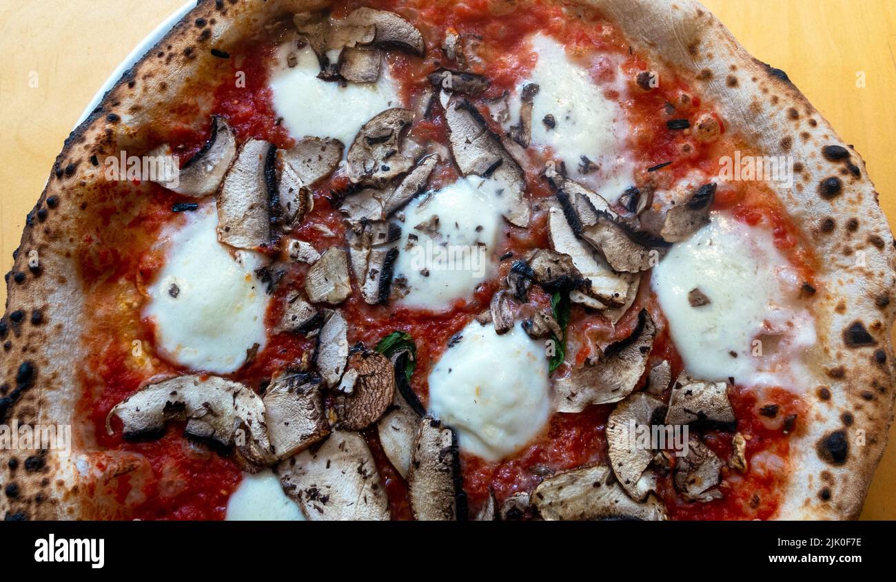 Pizza with buffalo mozzarella and mushrooms Stock Photo