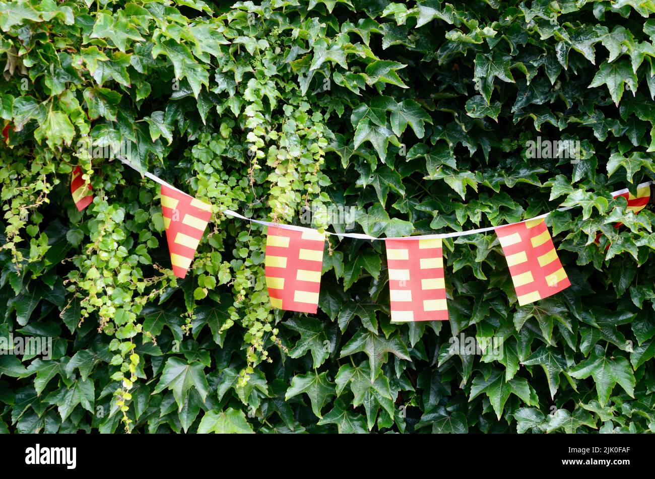 the red and yellow county flag of northumberland england UK Stock Photo
