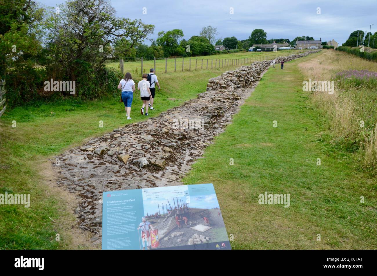 hadrians wall at heddon on the wall northumberland england UK Stock Photo