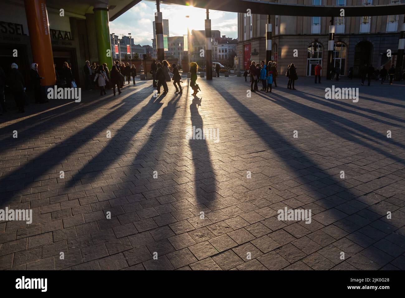 Long cast shadows of figures under a low winter sun. Stock Photo