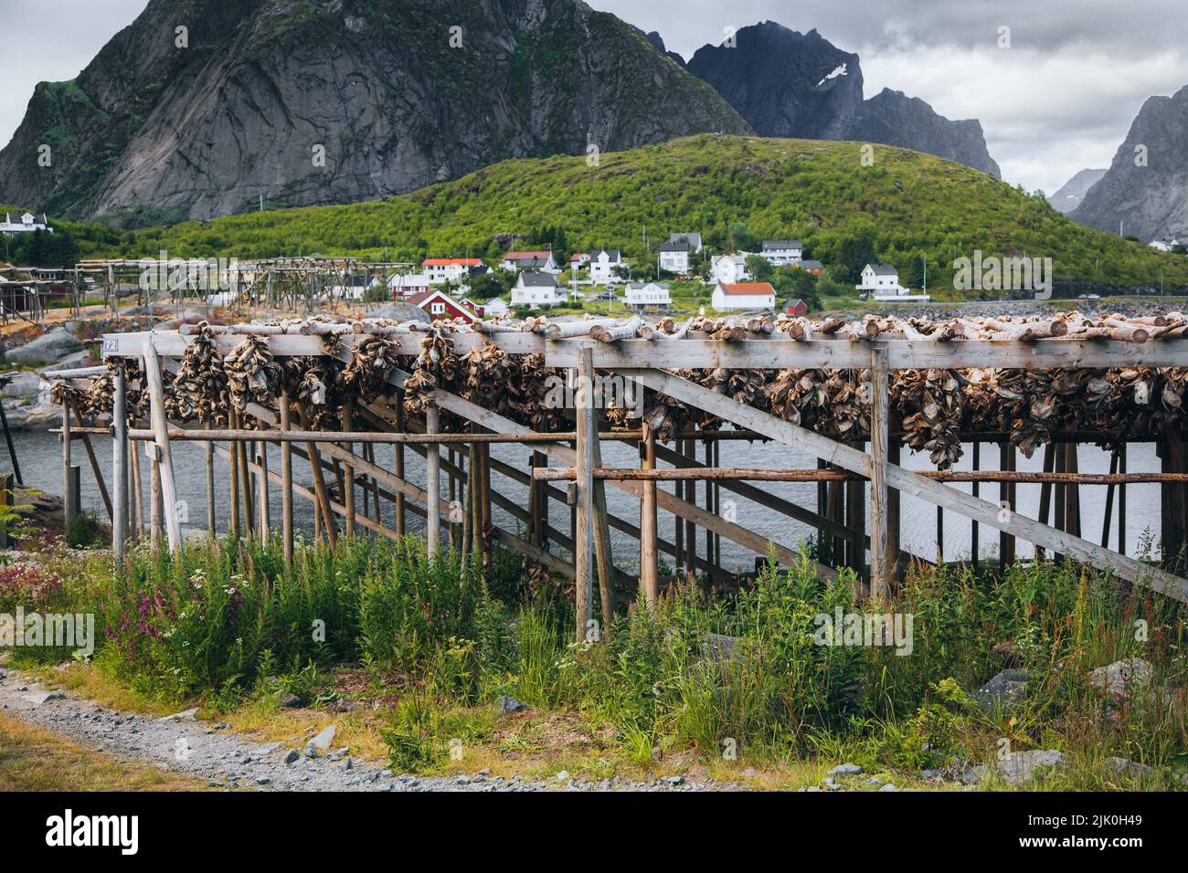 Fish drying racks in the Lofoten Islands in Norway Stock Photo Alamy