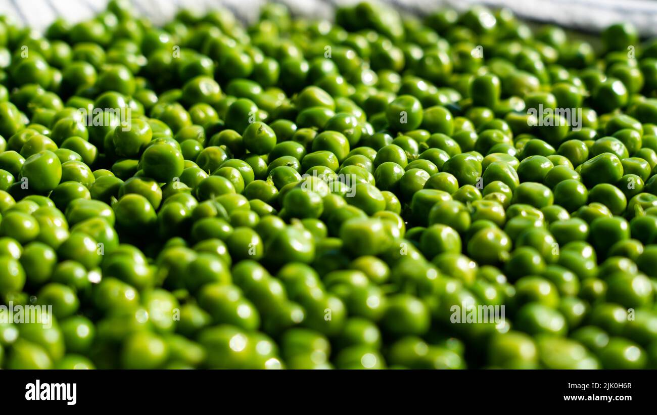 Background and texture of green peas Stock Photo Alamy