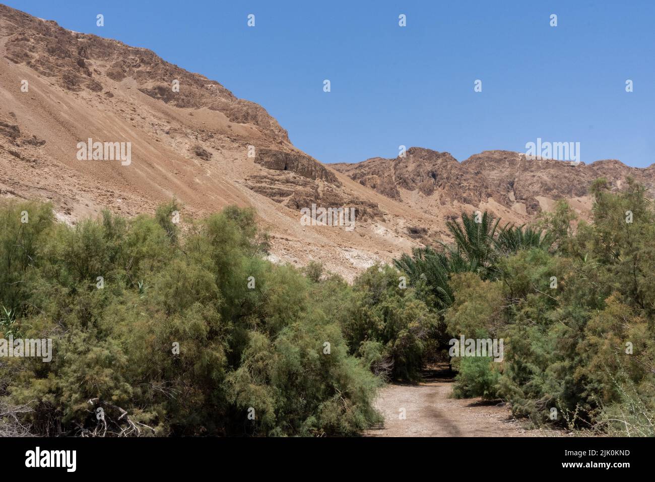 Ein Feshkha (Einot Tzukim) is a nature reserve and archaeological site on the northwestern shore of the Dead Sea, about three kilometers south of Qumr Stock Photo