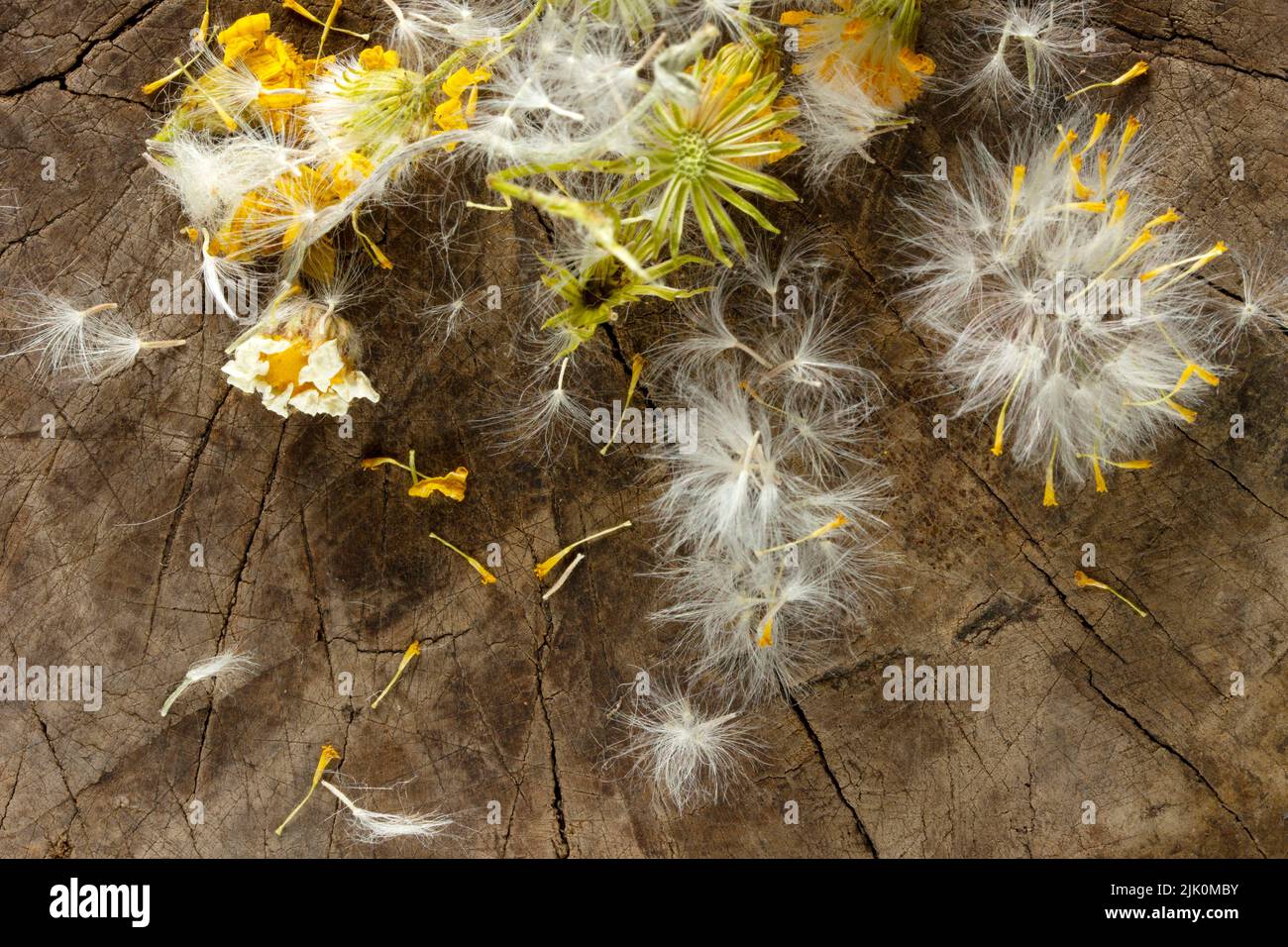 Newspaper textured background hi-res stock photography and images - Alamy