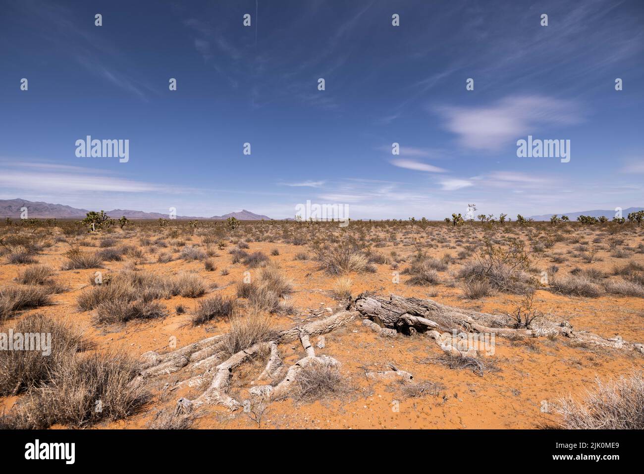 a Scenic desert landscape with red sand and green bushes under blue sky ...