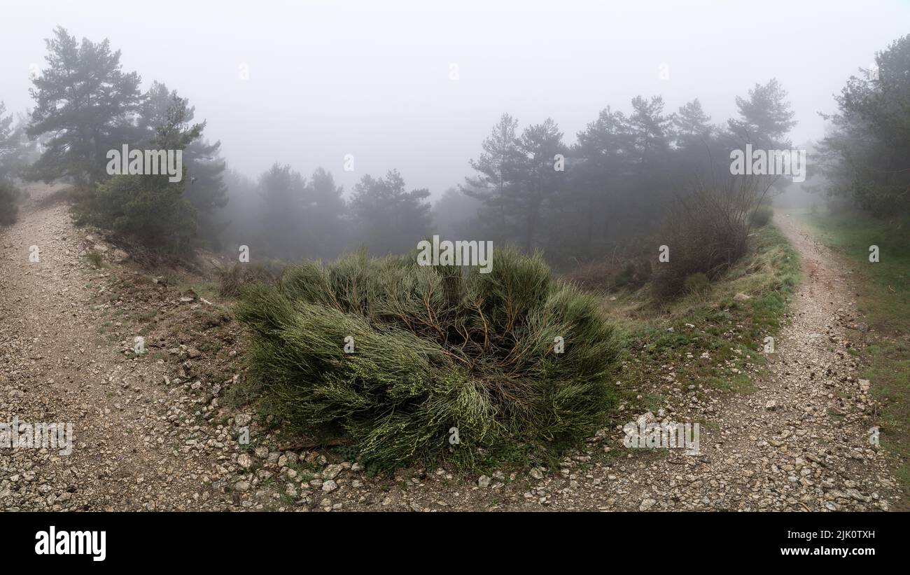 Thick fog person hi-res stock photography and images - Alamy