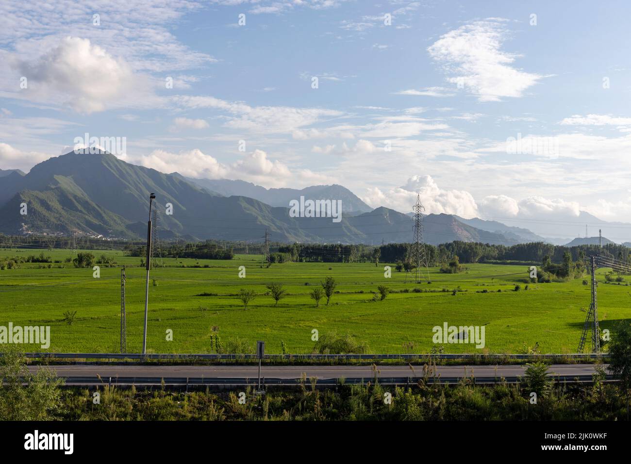 Beautiful lush green rice field along the road in Pakistan Stock Photo