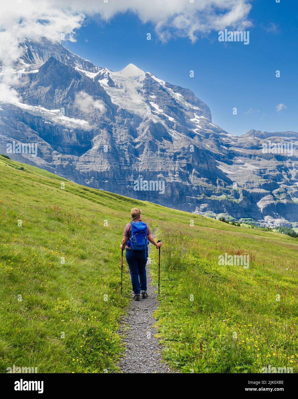 Looking at the Jungfrau and the Monch whilst hiling to Wengen from Kleine Scheidegg in the Berneses Oberland of Switzerland Stock Photo