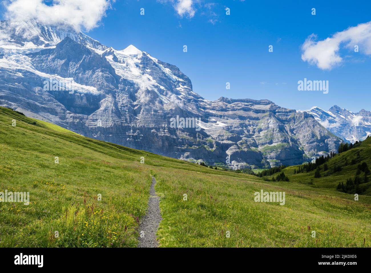 Looking at the Jungfrau and the Monch whilst hiling to Wengen from Kleine Scheidegg in the Berneses Oberland of Switzerland Stock Photo