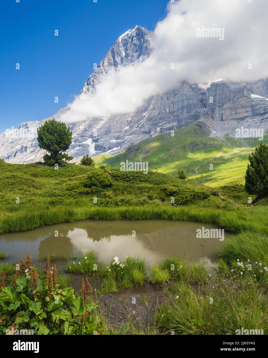 Looking at the Eiger whilst hiling to Wengen from Kleine Scheidegg in the Berneses Oberland of Switzerland Stock Photo