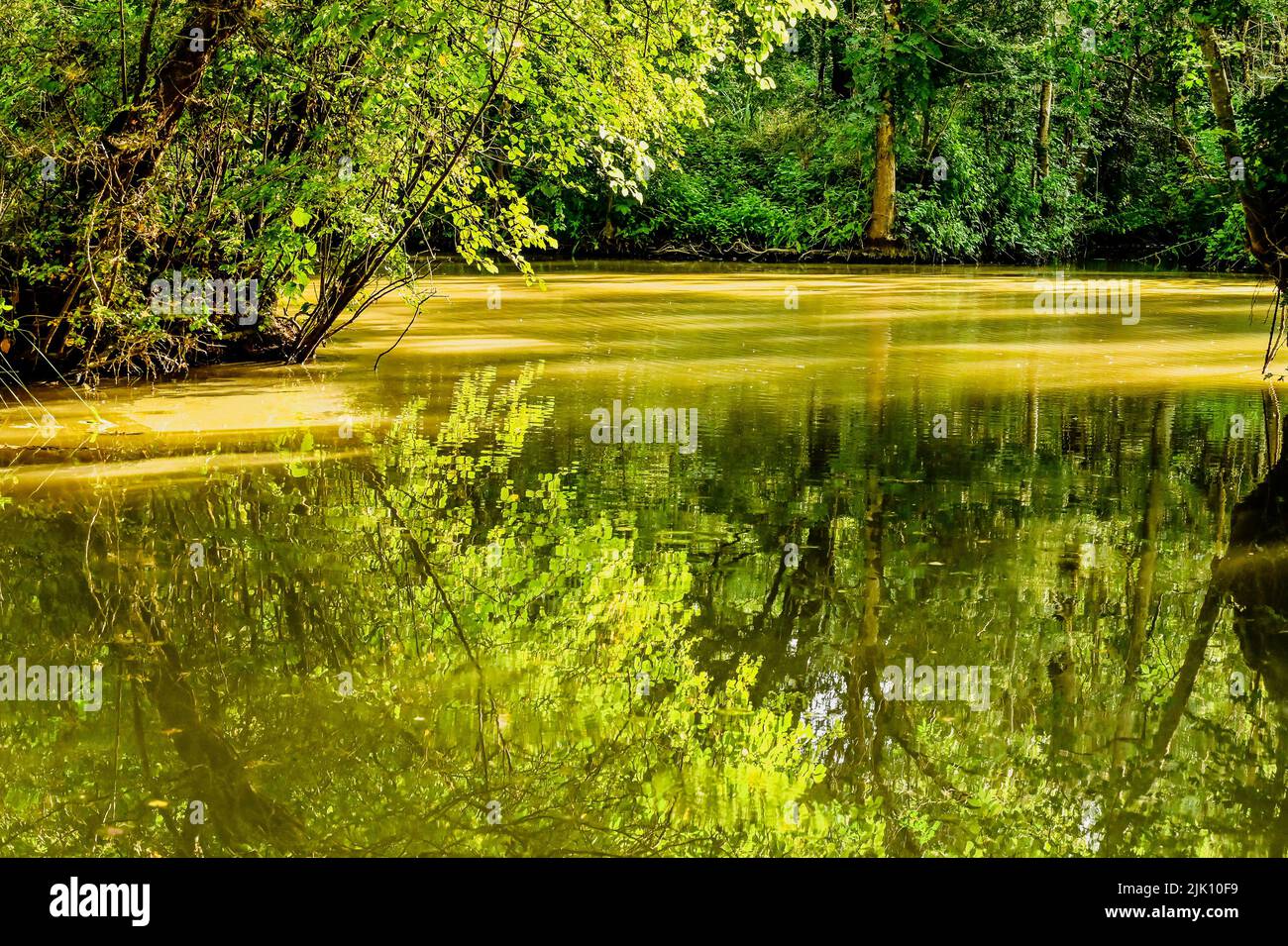 The wild swamp of the Marais Poitevin near SaintHilairelaPalud