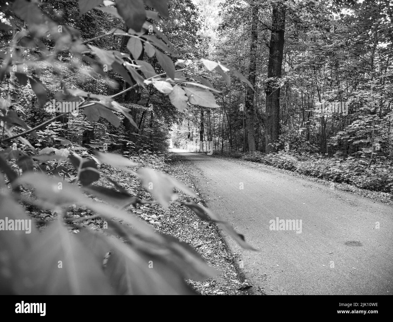 Bike path Black and White Stock Photos & Images - Alamy