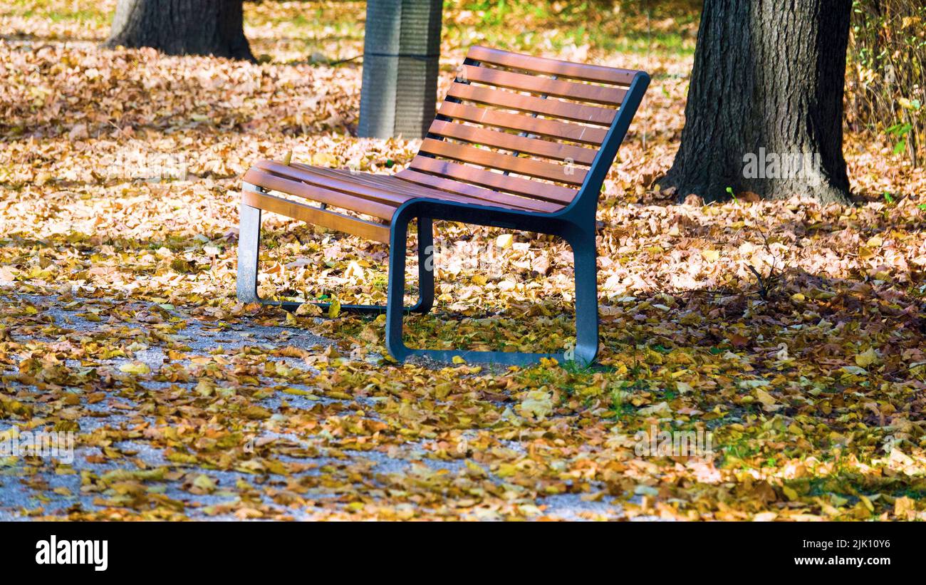 Falling leaves. Autumn in city Park in yellow leaves. Yellow maple leaves on garden bench, sad mood of past summer Stock Photo