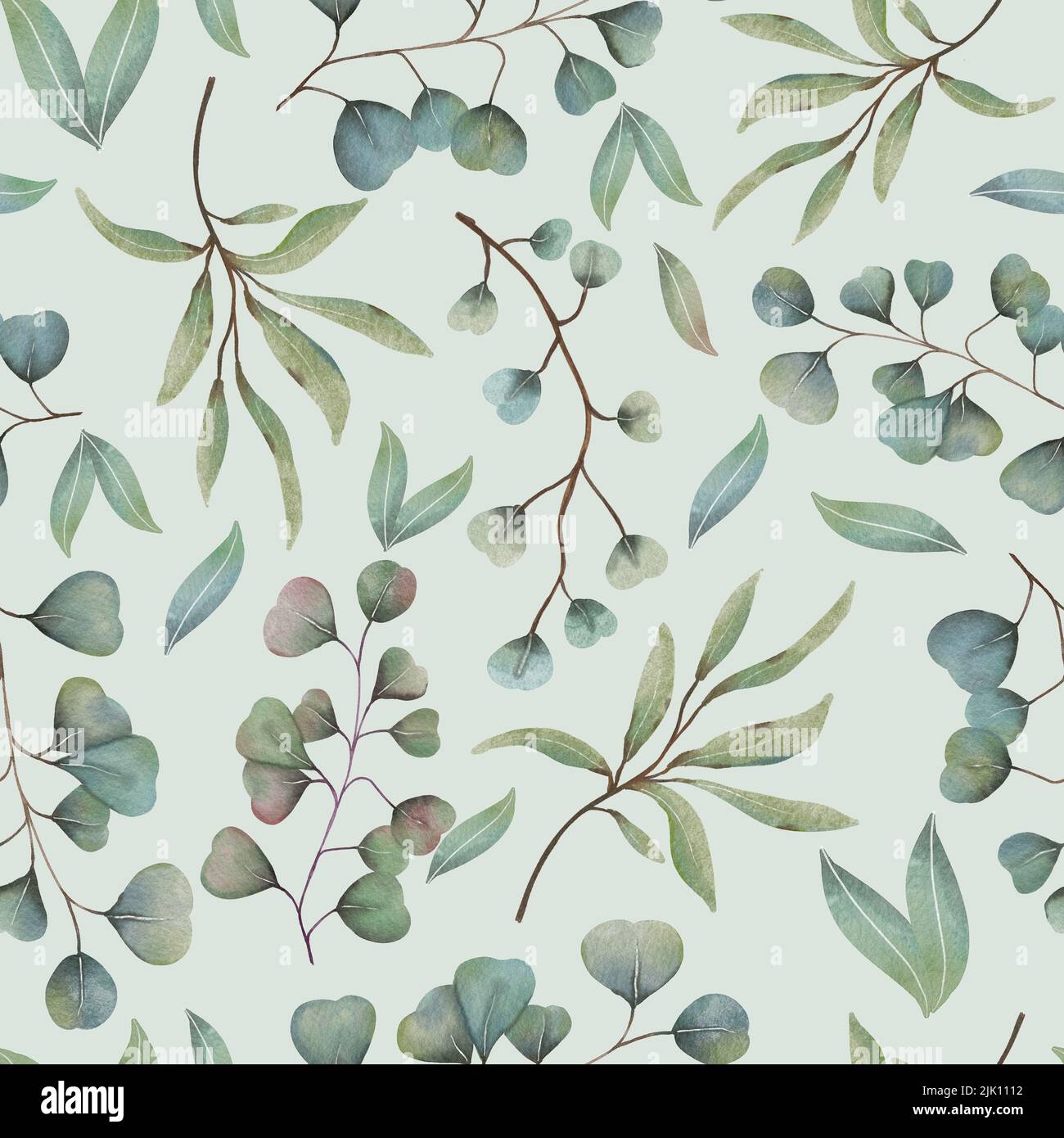 Eucalyptus seamless pattern Stock Photo