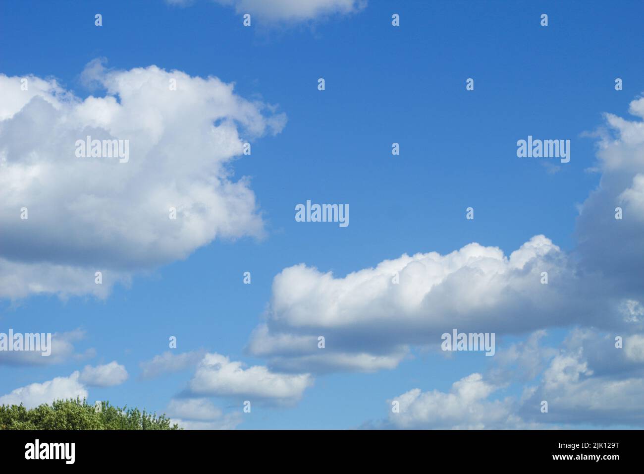 Beautiful white clouds in the blue sky. Sky with clouds and tree edges ...