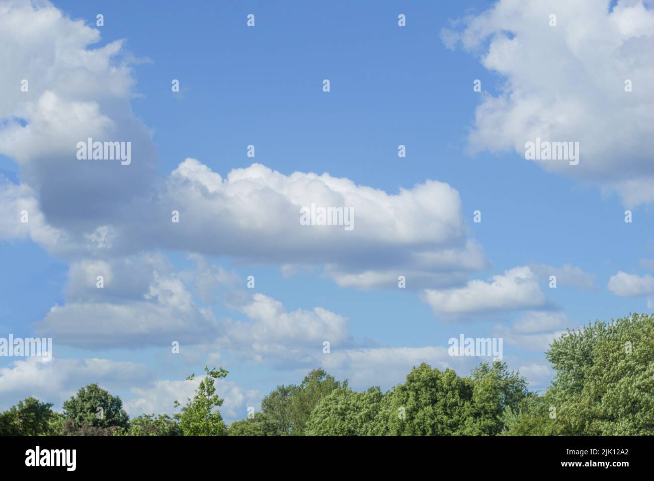 Beautiful white clouds in the blue sky. Sky with clouds and tree edges ...
