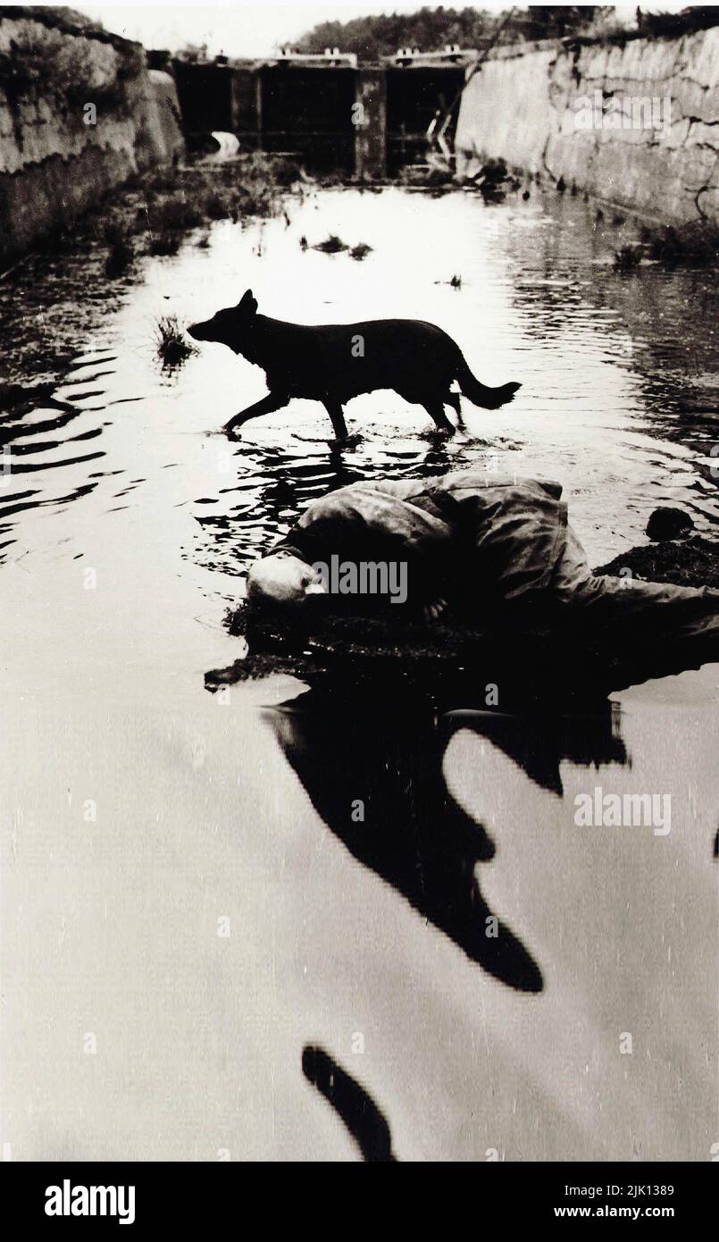 Stalker film hi-res stock photography and images - Alamy