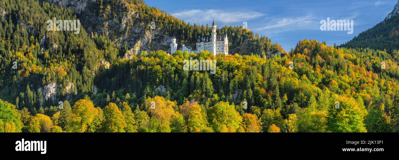 Neuschwanstein Castle, Schwangau, Allgau, Bavaria, Germany, Europe Stock Photo
