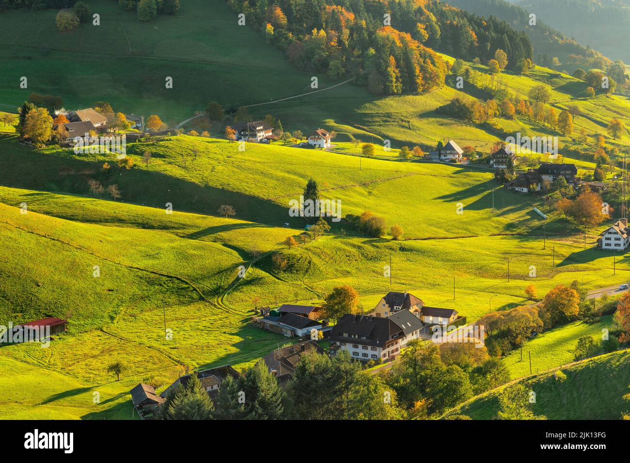 Munstertal Valley, Southern Black Forest, Baden-Wurttemberg, Germany, Europe Stock Photo