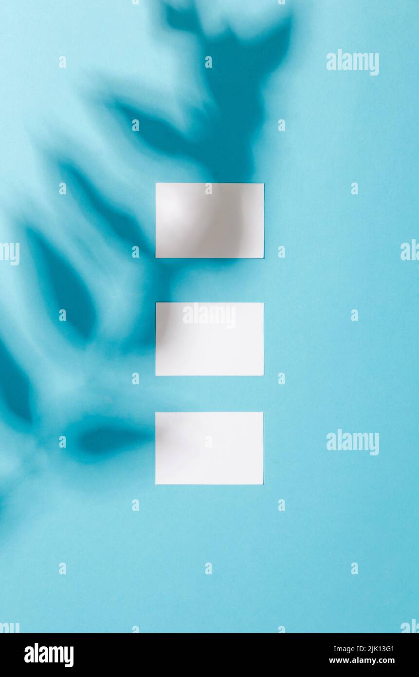Blank white business cards mockups with shadow of leaves on blue ...