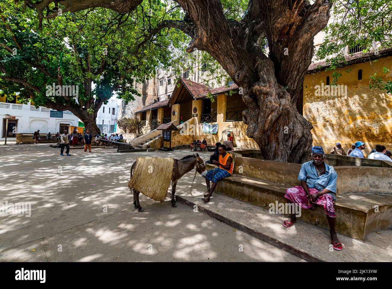 Town square in front of Lamu Fort, UNESCO World Heritage Site, island of Lamu, Kenya Stock Photo