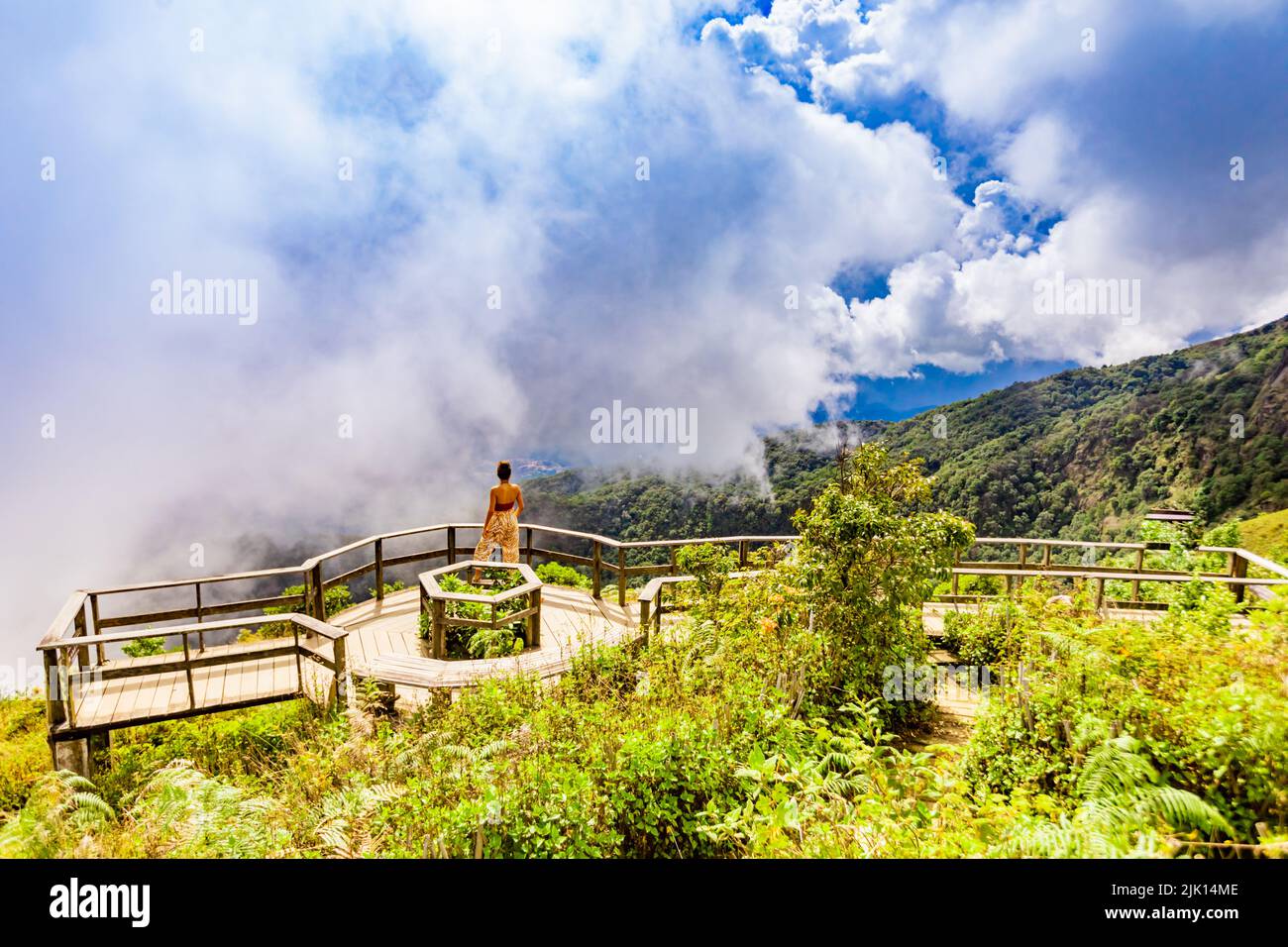 Woman looking out on Kew Mae Pan Nature Trail at Doi Inthanon National Park, Chiang Mai, Thailand, Southeast Asia, Asia Stock Photo