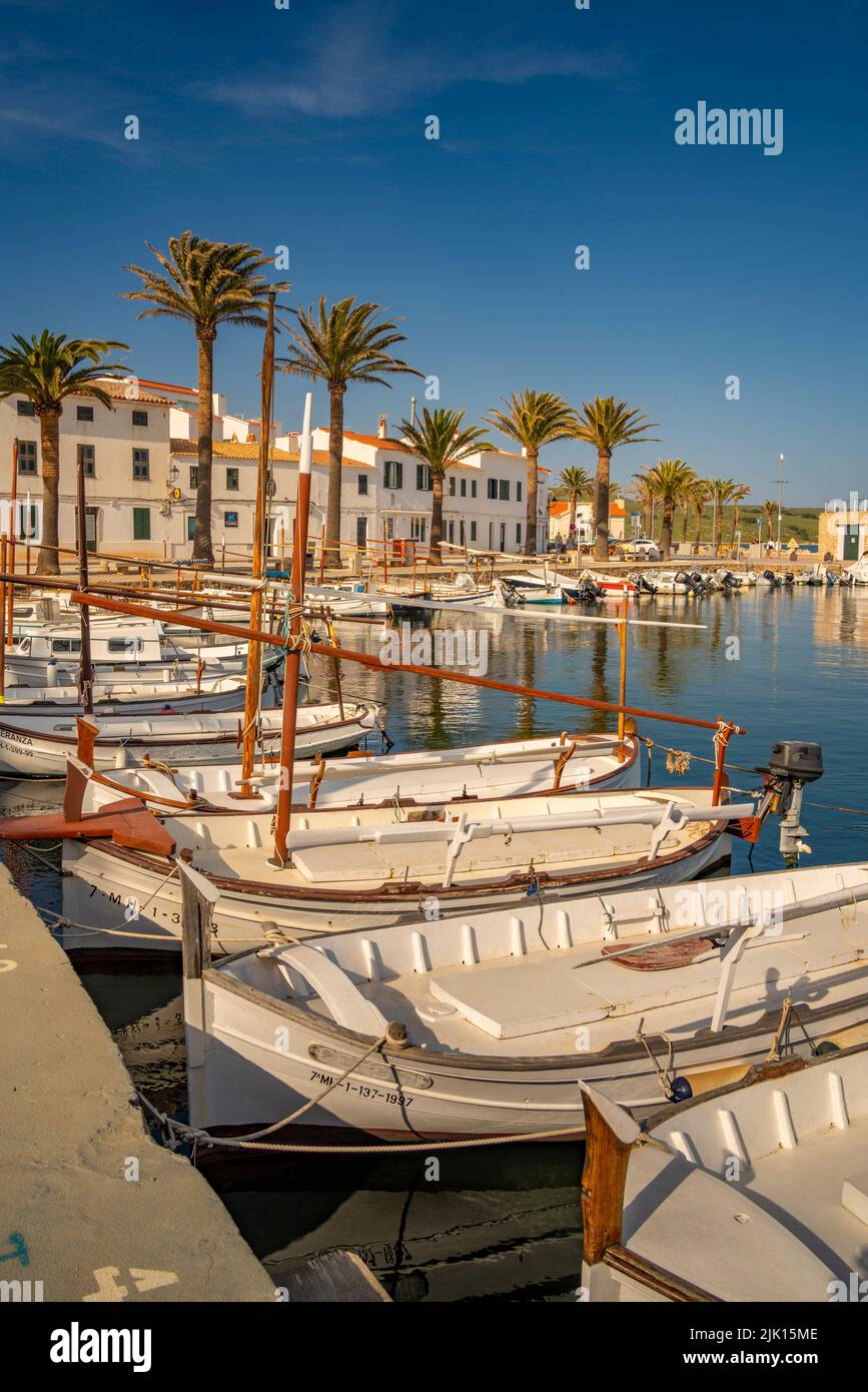 View of boats and palm trees in the marina and houses in Fornelles, Fornelles, Menorca, Balearic Islands, Spain, Mediterranean, Europe Stock Photo