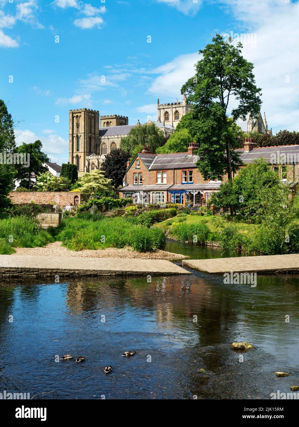 Ripon Cathedral in summer, Ripon, Yorkshire, England, United Kingdom ...