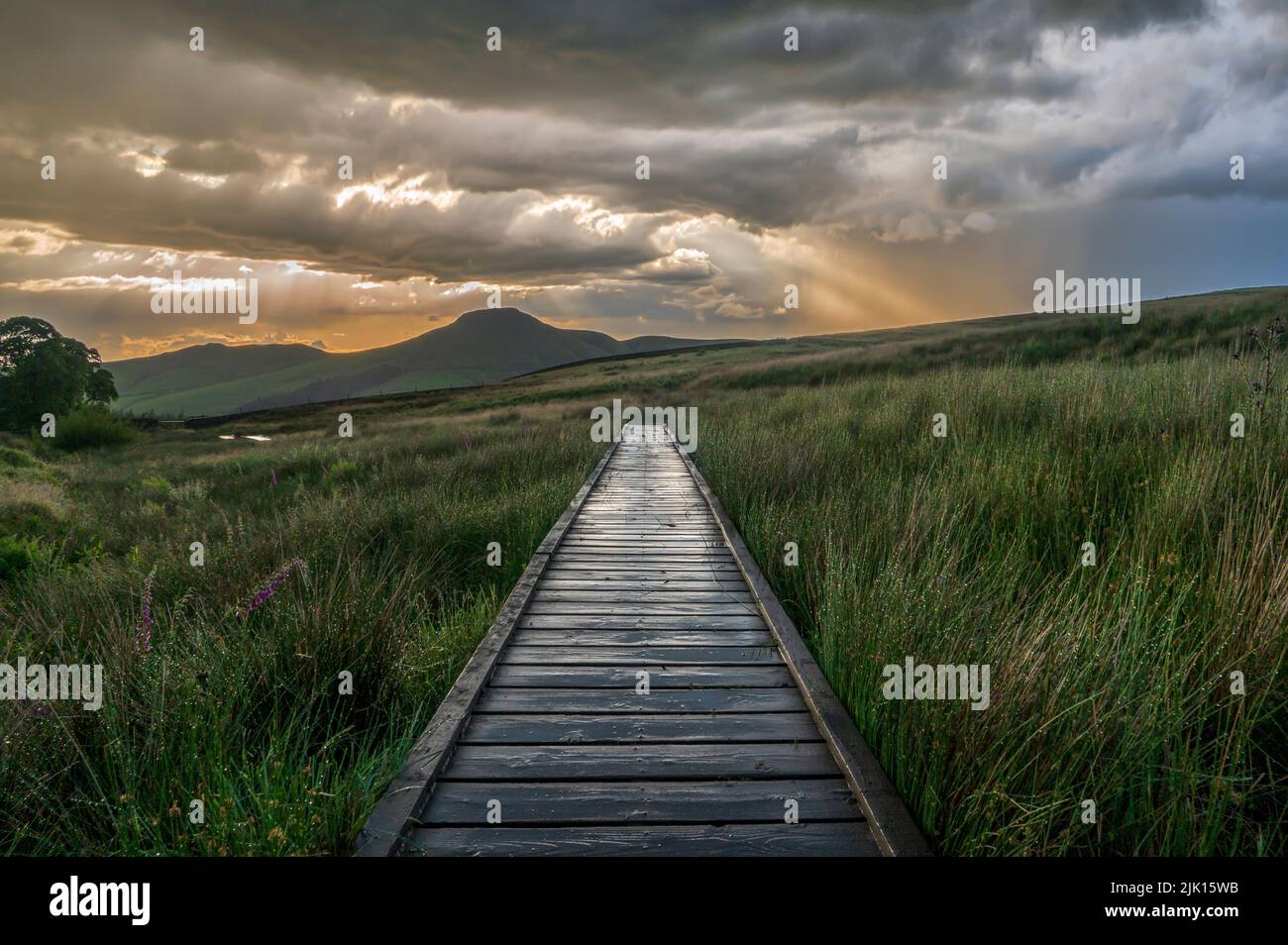 Wooden boardwalk in The Peak District with dramatic sky, Wildboarclough, Cheshire, England, United Kingdom, Europe Stock Photo