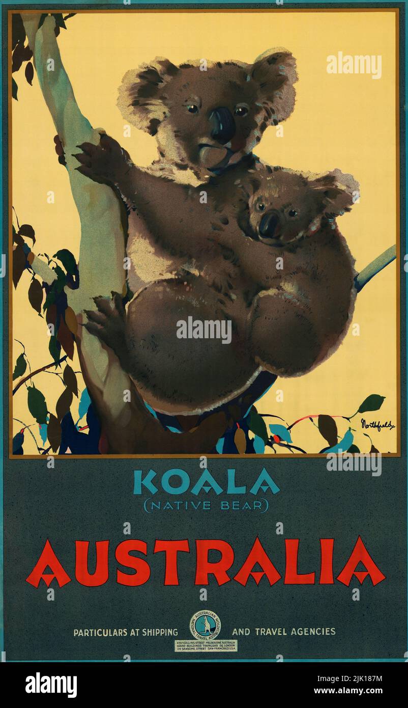 Vintage 1930s Travel Poster - AUSTRALIA / KOALA (NATIVE BEAR). 1931. Stock Photo