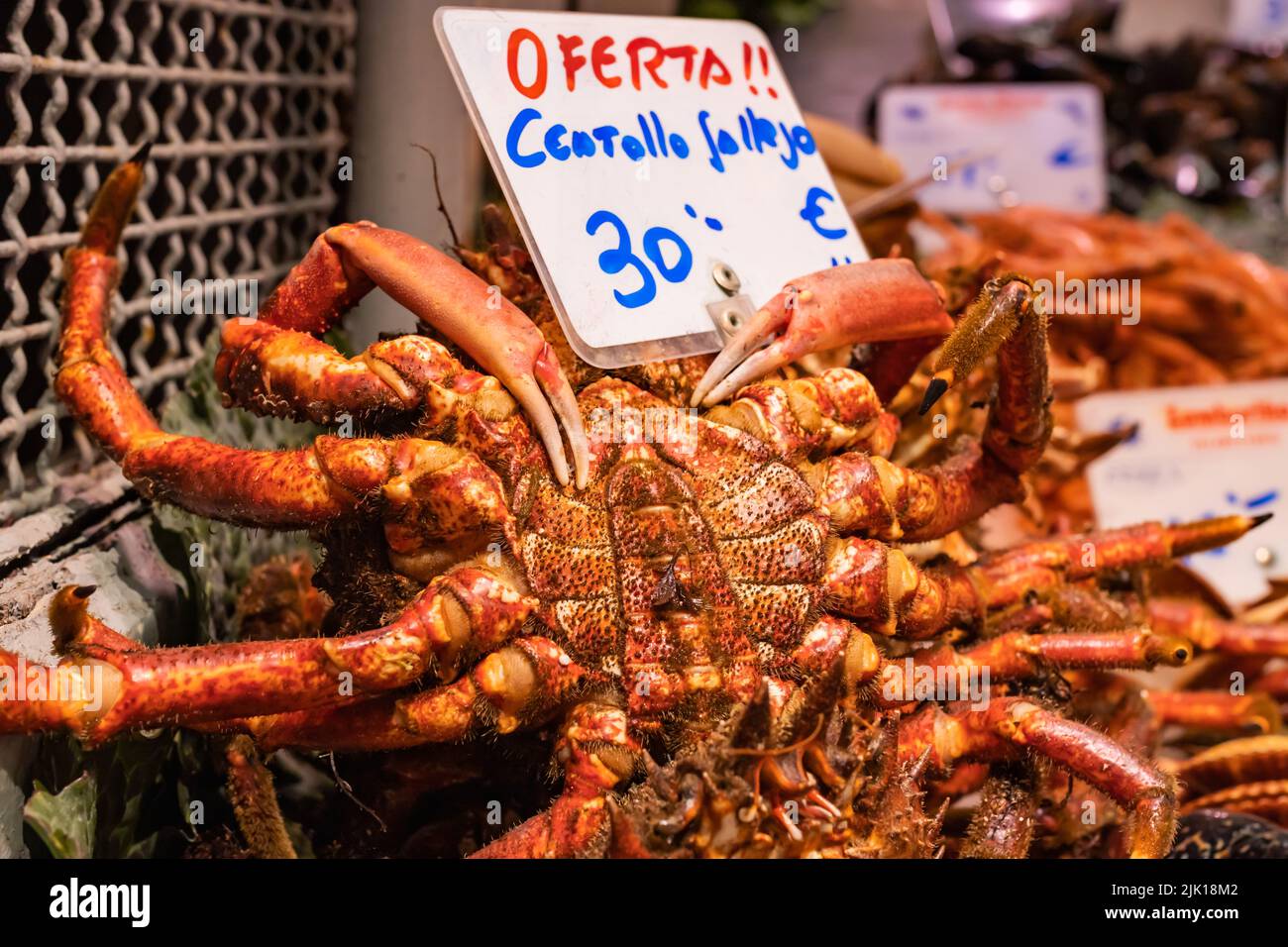 Spider crab in a market in La Coruna (Spain), in the sign translated to