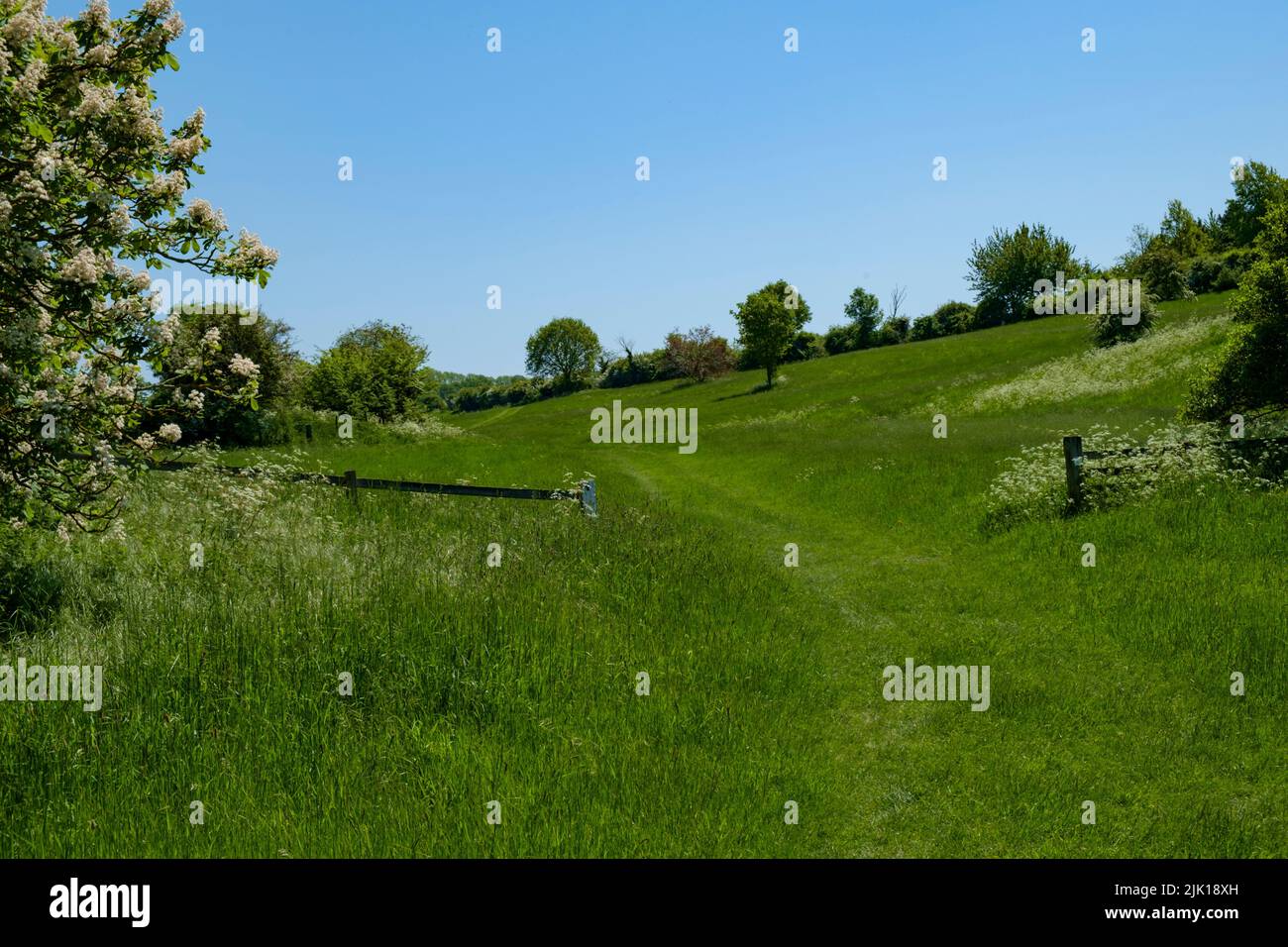 Aldham, Hadleigh, Suffolk, England, UK Stock Photo Alamy