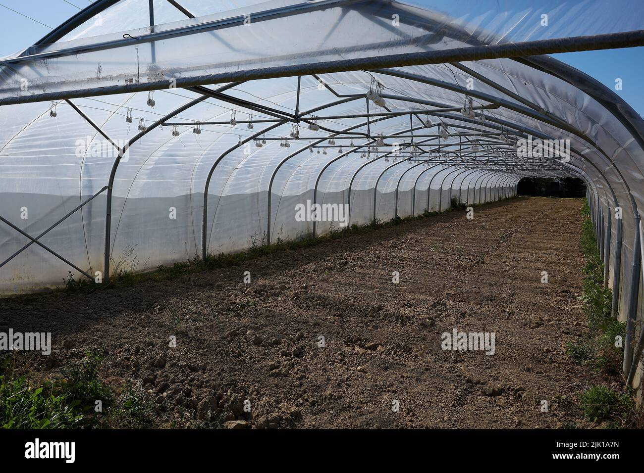 An inside view of a greenhouse Stock Photo - Alamy