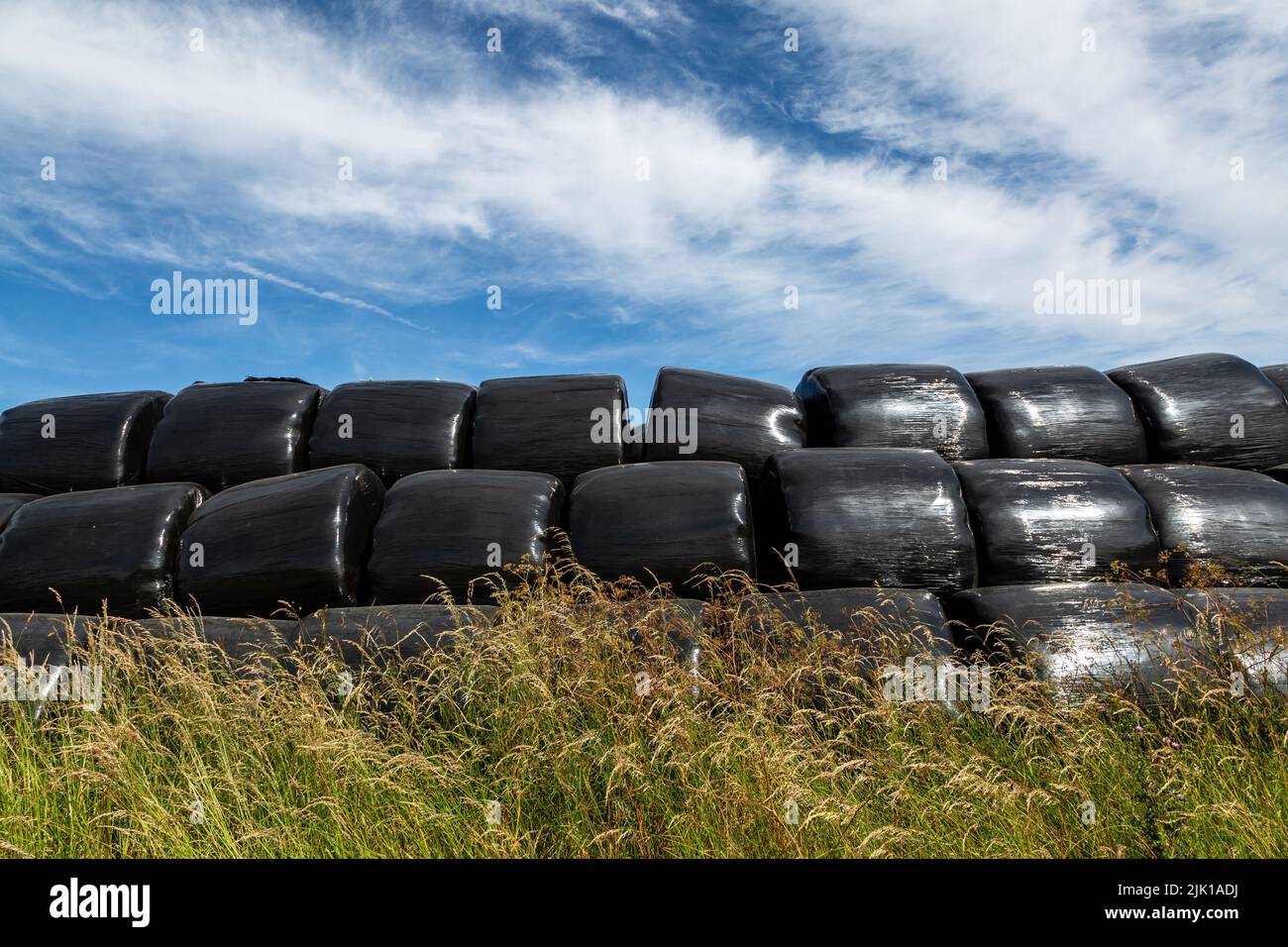 A large group of hay bales wrapped in plastic in the Sussex countryside