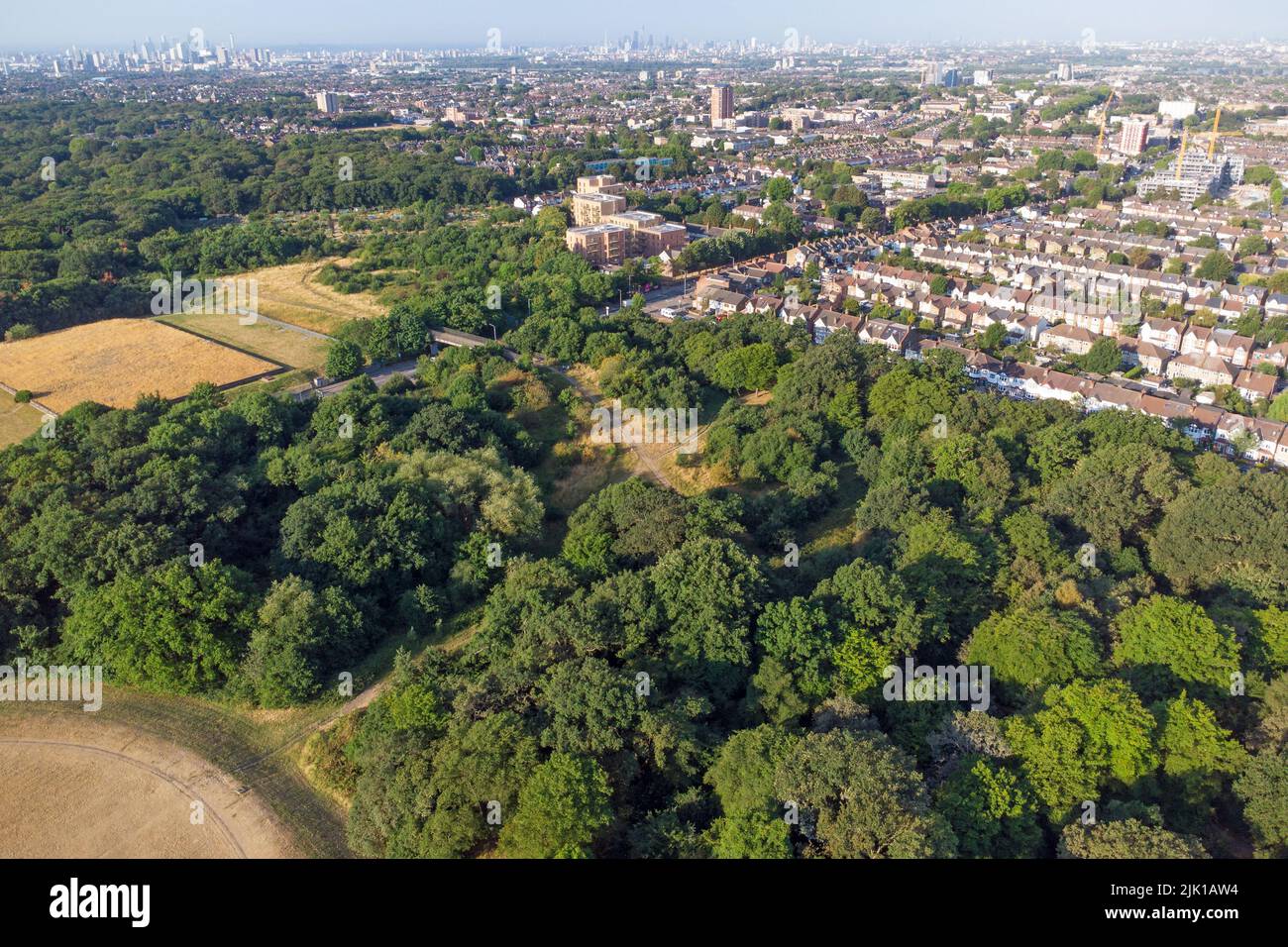 Aerial view overlooking the forest into the houses of Walthamstow into London Stock Photo