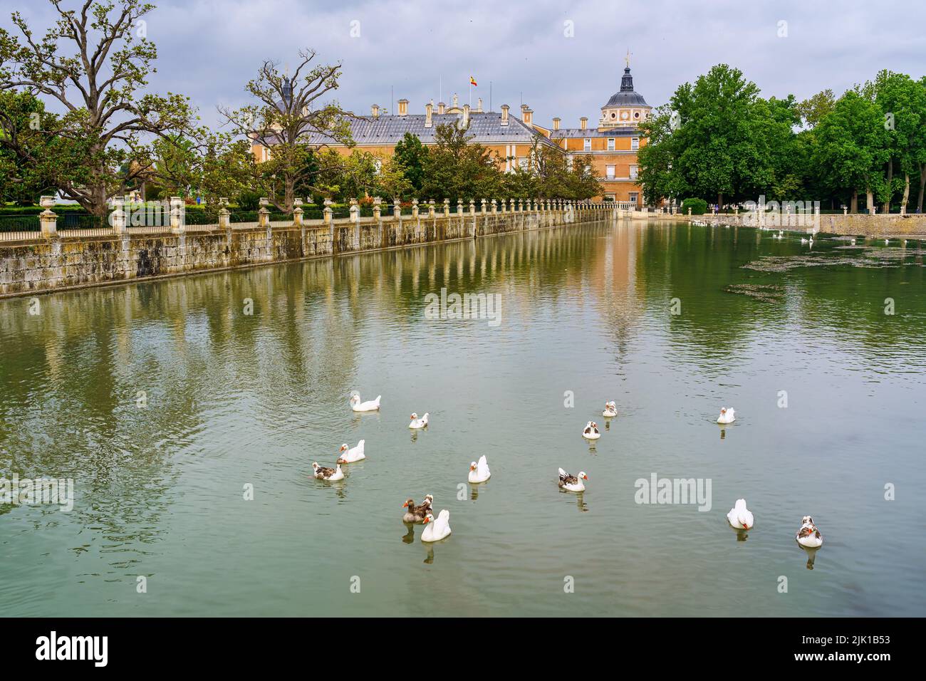 River Tagus as it passes through the royal palace of Aranjuez with white ducks in the water. Stock Photo