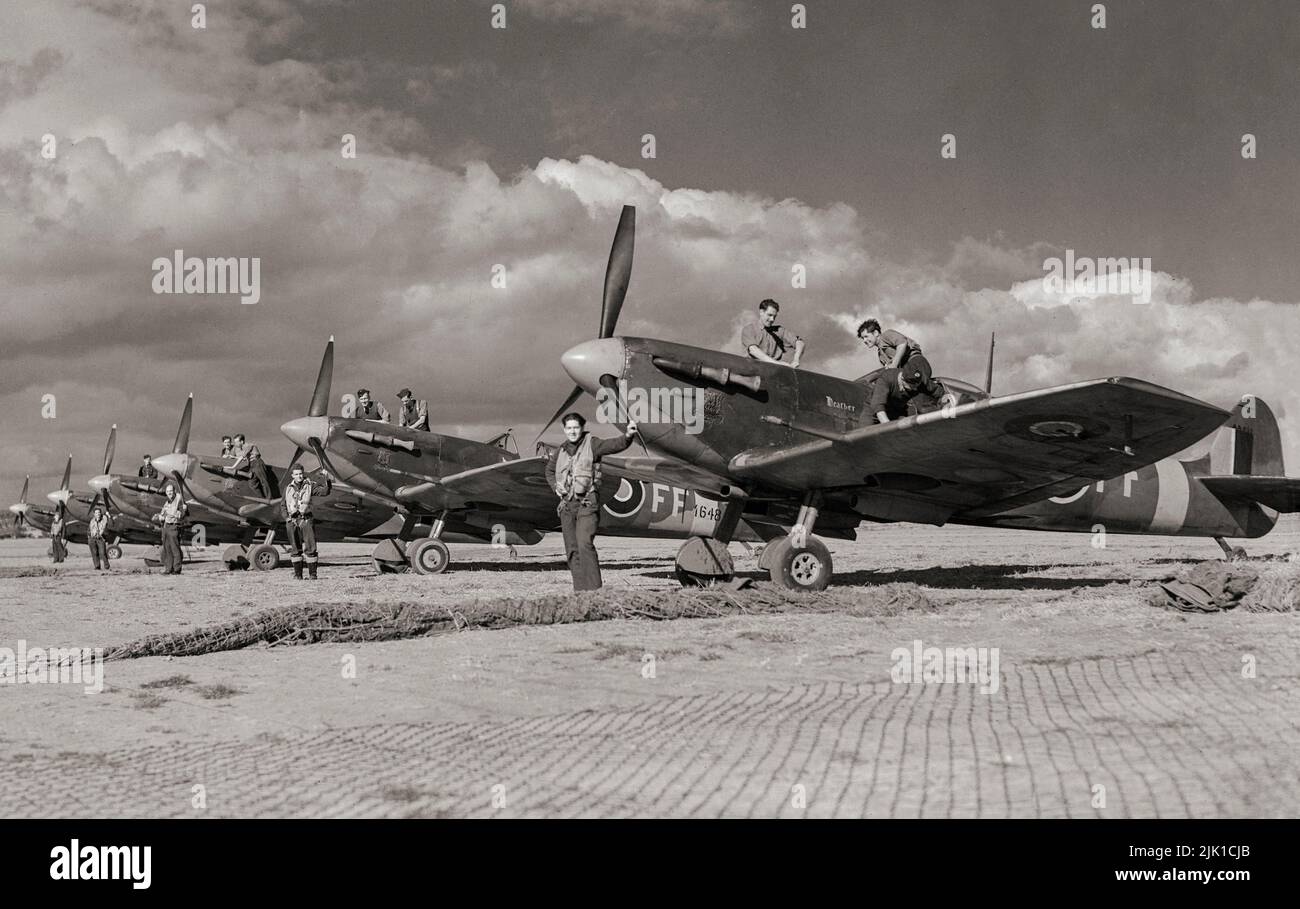 Pilots and ground crews of No. 132 Squadron, RAF pose for the photographer with their Supermarine Spitfire Mark VBs, lined up at Newchurch, Kent. The Spitfire was a British single-seat fighter aircraft used by the Royal Air Force and other Allied countries before, during, and after World War II. Many variants of the Spitfire were built, using several wing configurations. It was the only British fighter produced continuously throughout the war. Stock Photo