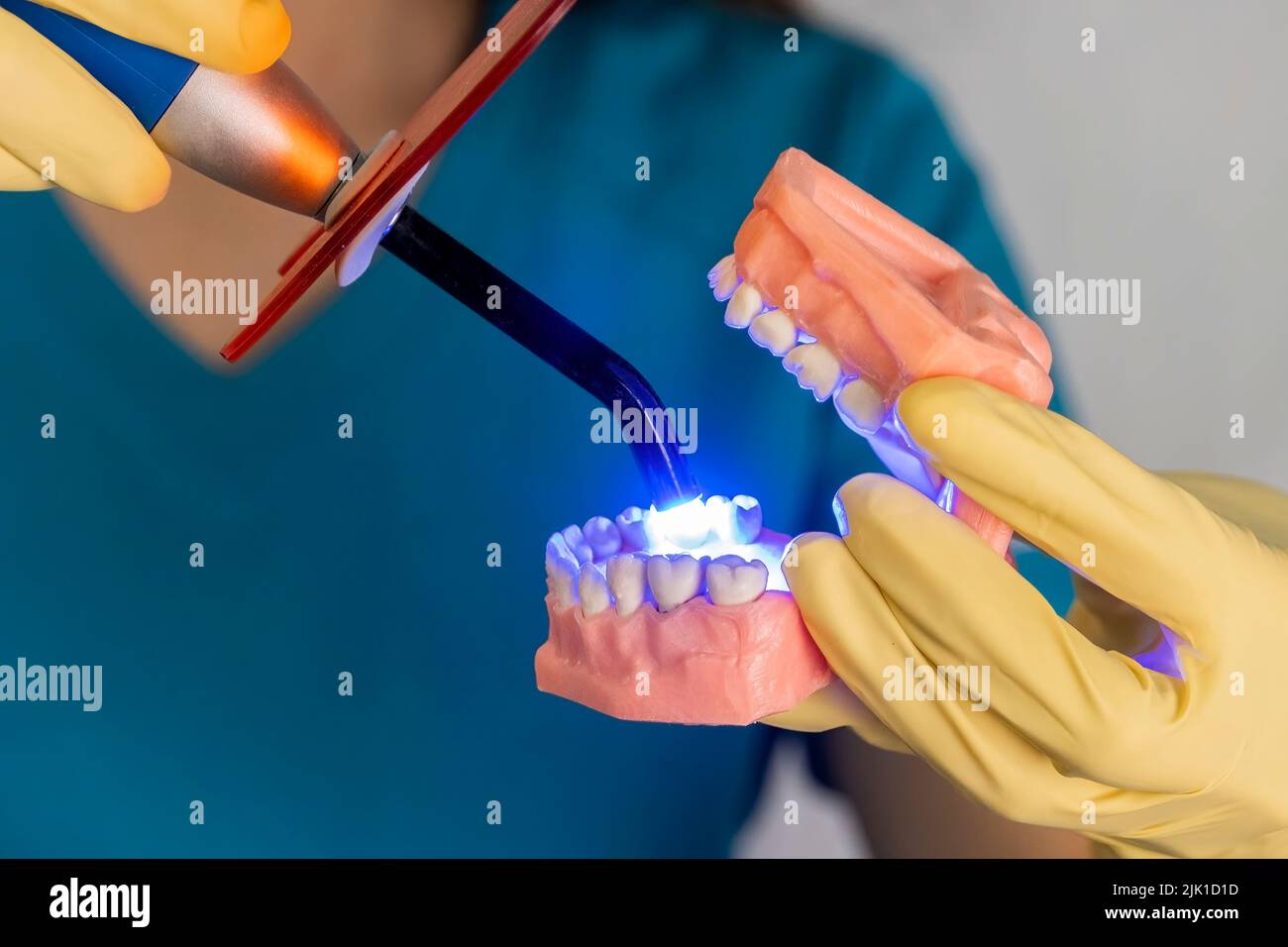 The woman dentist is holding dentures in his hands and instruments ...
