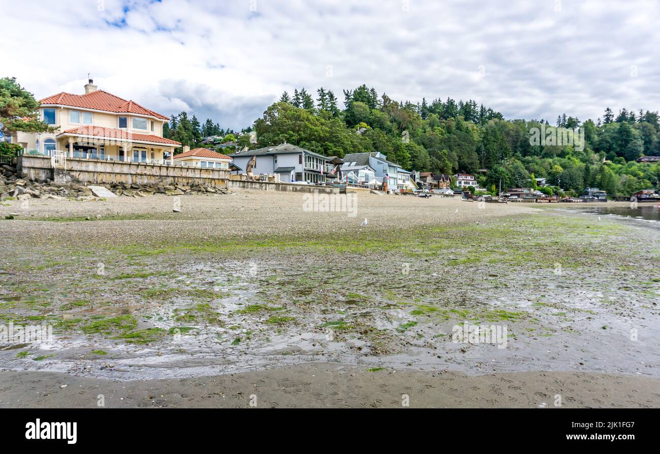 Waterfront view homes at Das Point, Washington Stock Photo Alamy