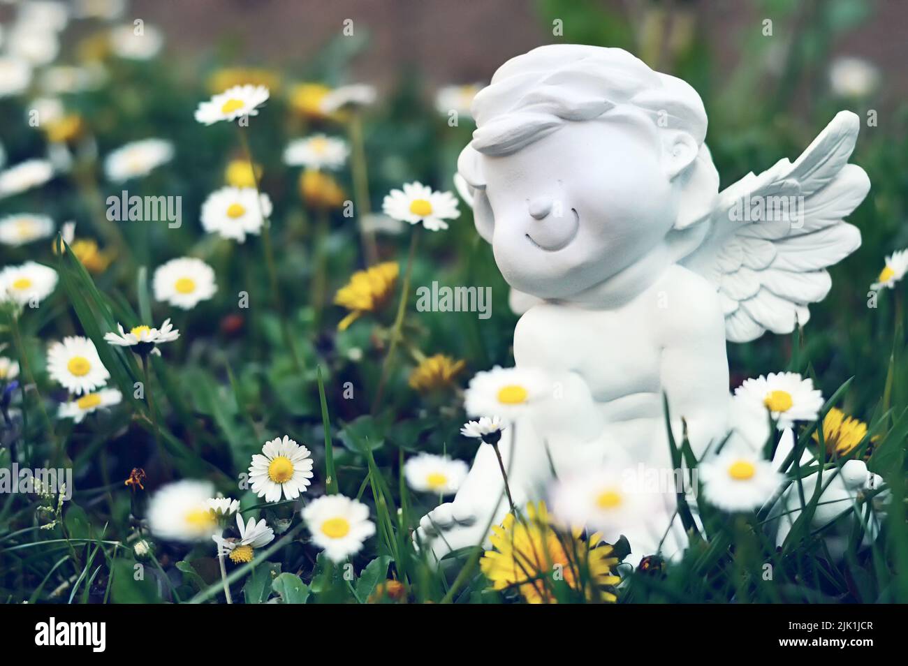 Angel sitting among daisies in the field Stock Photo