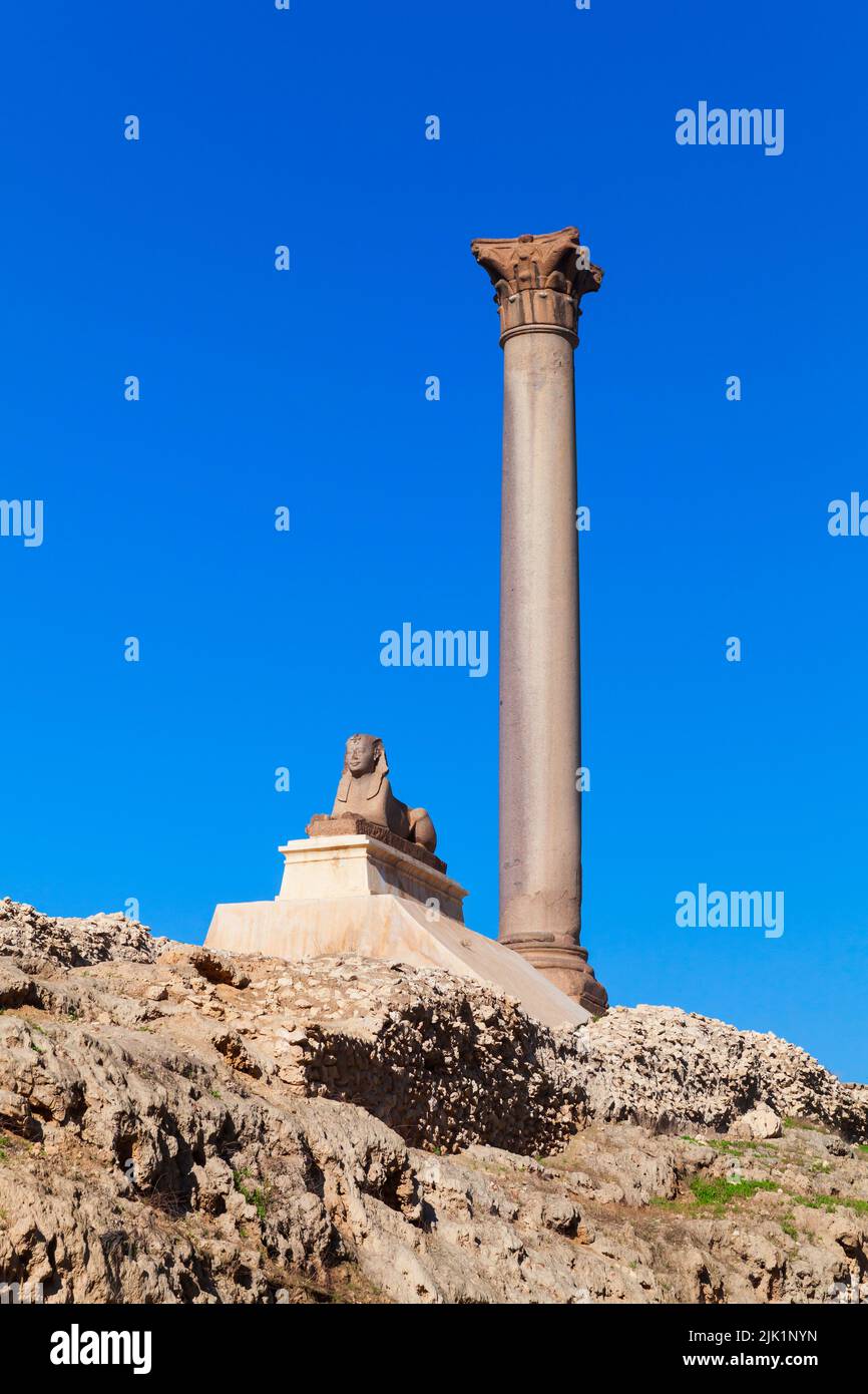 Ancient sphinx with Pompeys Pillar on a background, vertical photo. Alexandria, Egypt Stock Photo