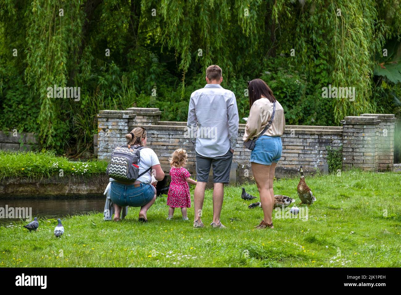 Adults and a young child feeding ducks and pigeons in Trenance Gardens in Newquay in Cornwall in the UK. Stock Photo