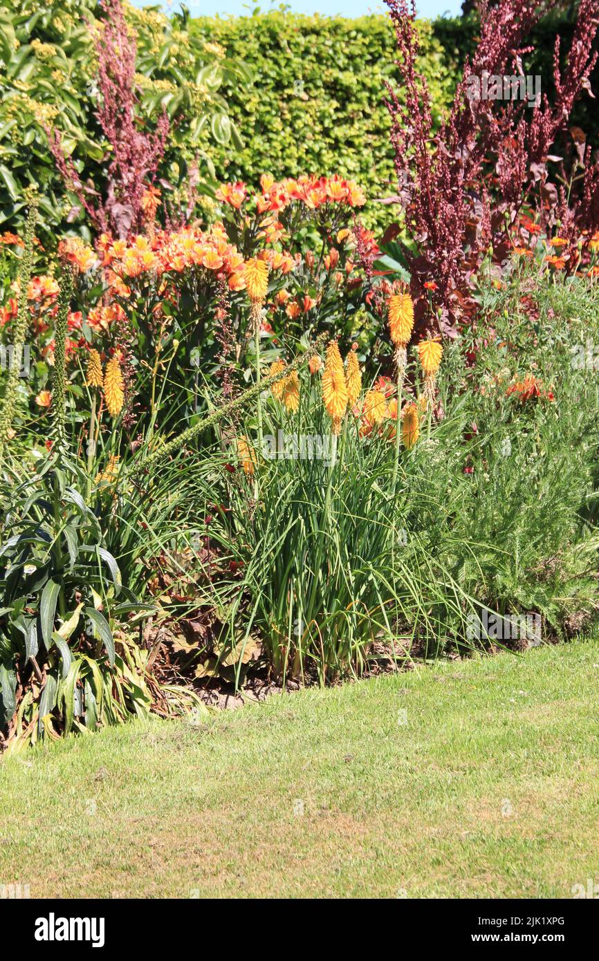 The gardens in Demen, the Netherlands Stock Photo Alamy