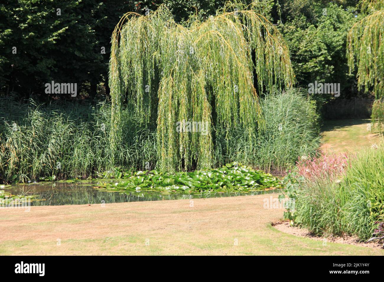 The gardens in Demen, the Netherlands Stock Photo Alamy