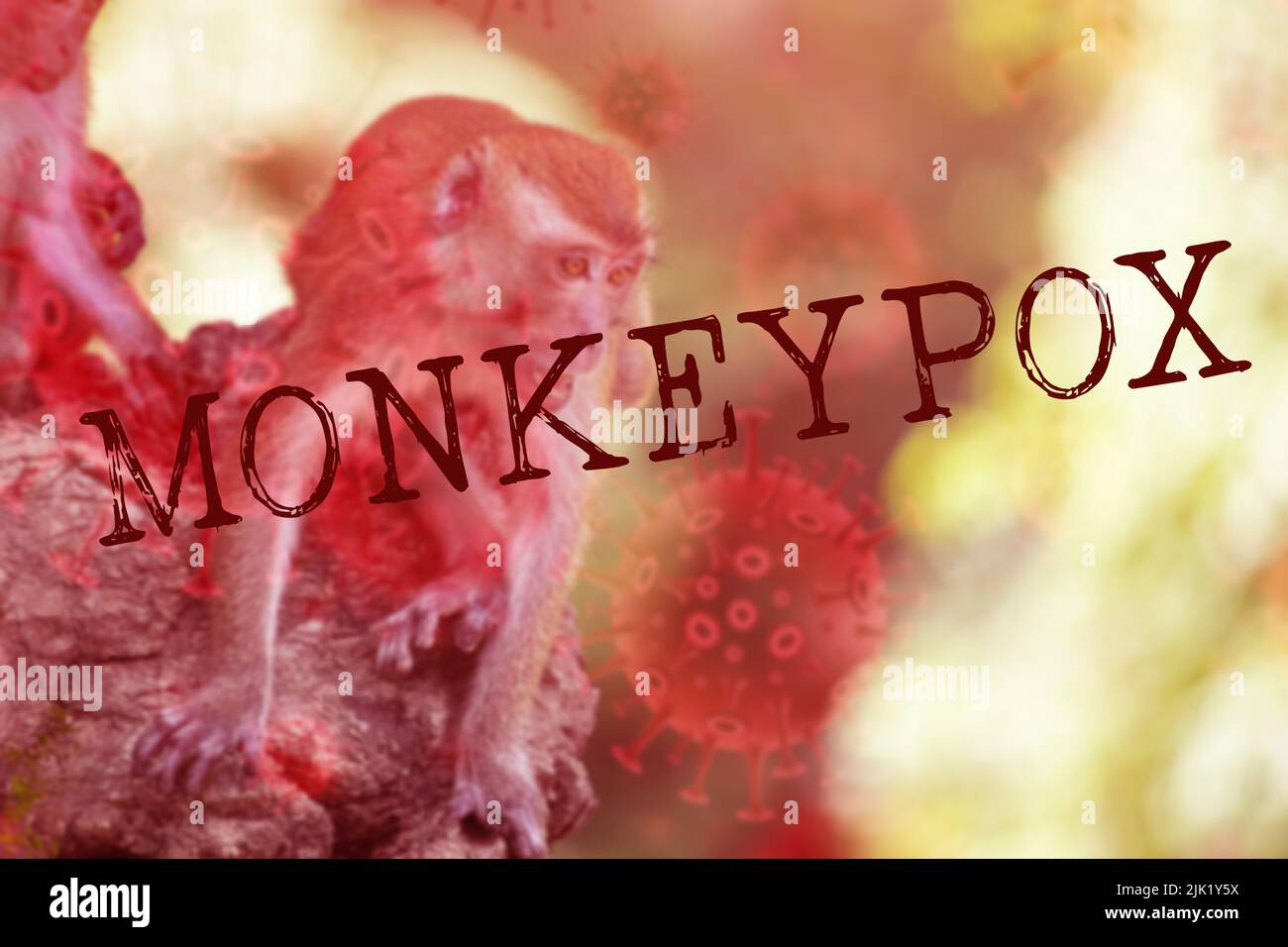 Monkeypox diseas outbreak concept. Monkeypox is a viral zoonotic disease, transmitted to humans from animals. Stock Photo