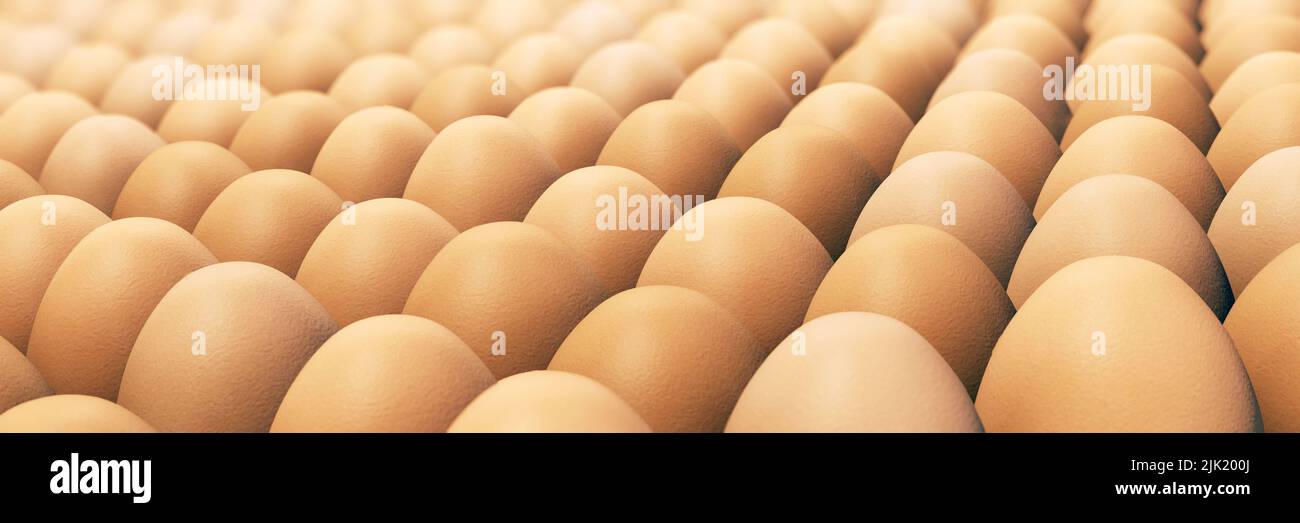 Lots of brown chicken eggs in panorama format Stock Photo