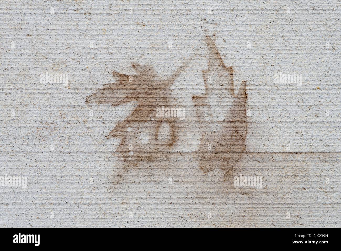 Concrete background with stains from leaves Stock Photo Alamy