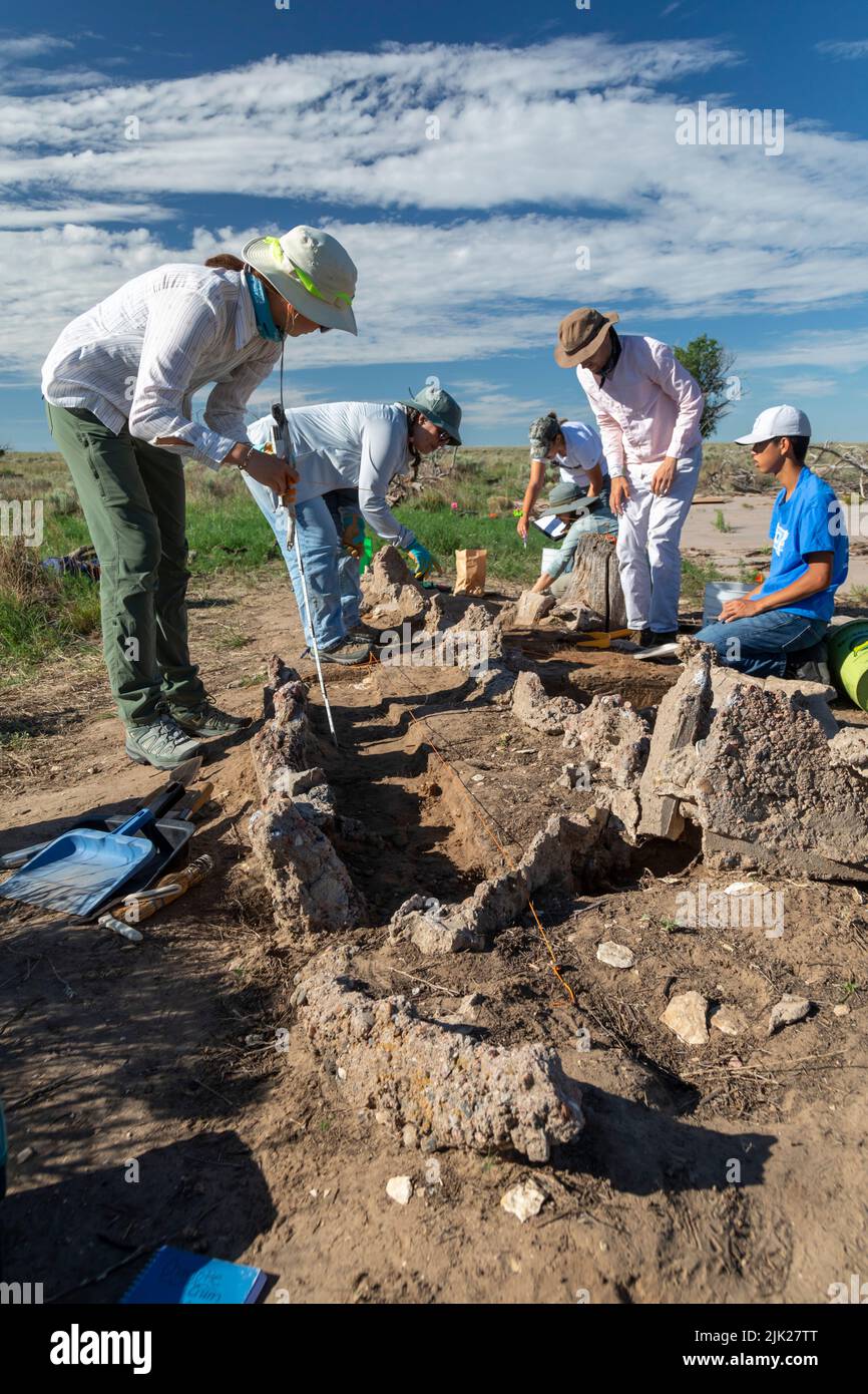 Granada, Colorado - The University of Denver Archaeology Field School at the World War 2 Amache Japanese internment camp. Camp survivors and descenden Stock Photo