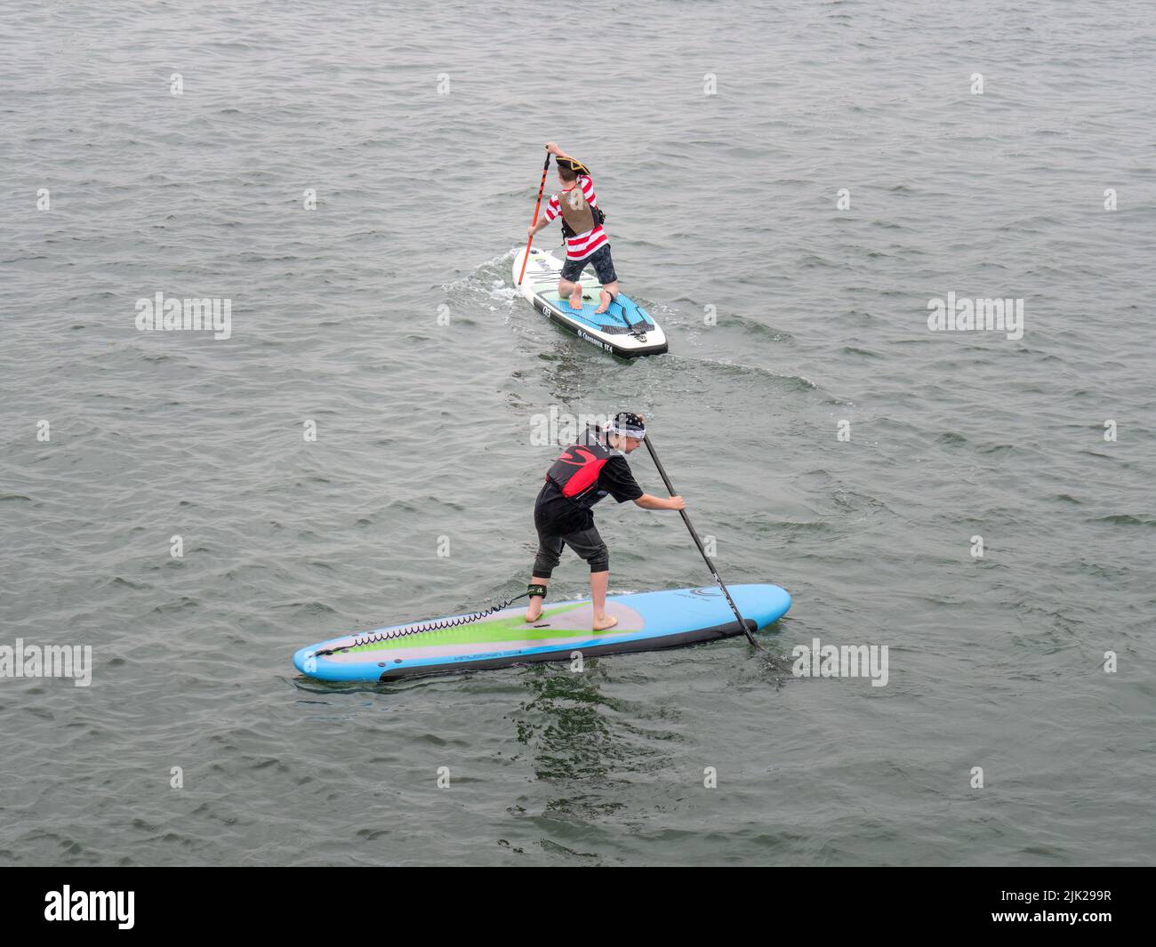 BIDEFORD, DEVON, ENGLAND - JULY 24 2022: Paddleboarders in the annual Water Festival Cardboard Boat Race, River Torridge. Stock Photo